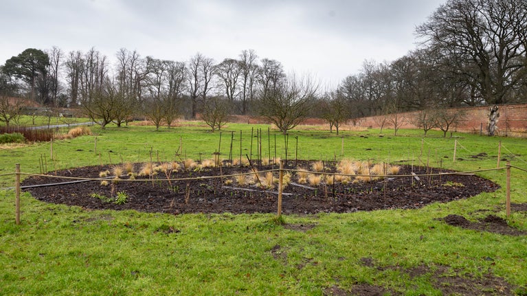 The Walled Garden galaxy shaped flower bed in March 2025
